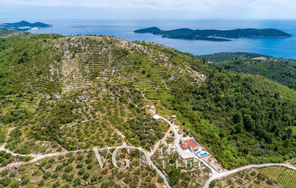 Villa M - Dubrovnik Garden and property exterior