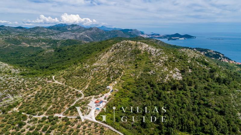 Villa M - Dubrovnik Garten und Außenbereich