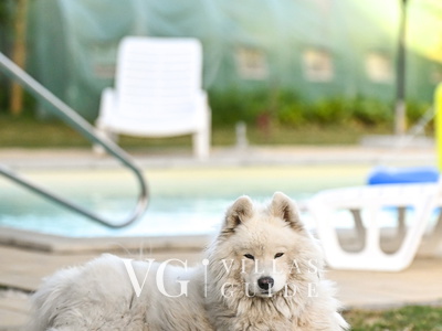 Kuća za odmor Šljivik Stari Dodatni sadržaji