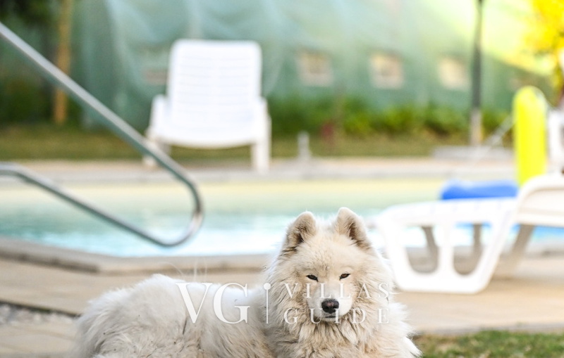 Kuća za odmor Šljivik Stari Contenuto aggiuntivo