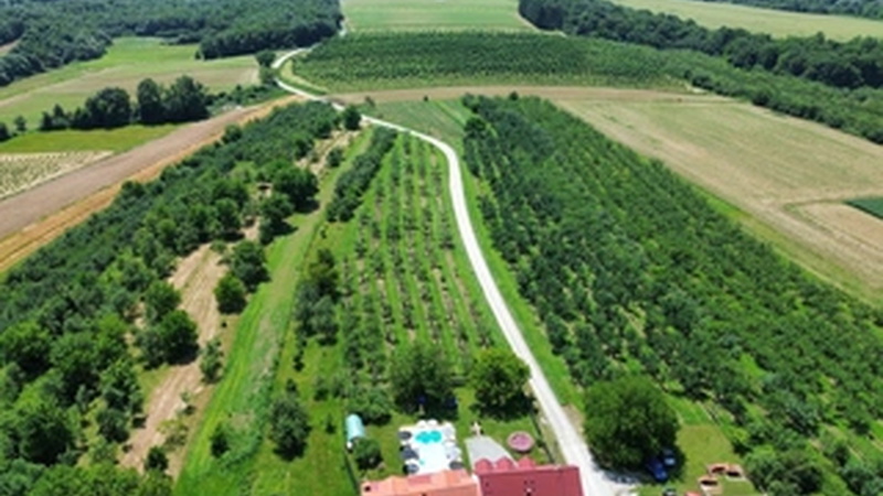 Kuća za odmor Šljivik Stari