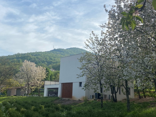 Villa il giardino segreto with pool