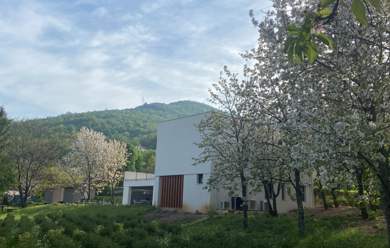 Villa il giardino segreto with pool