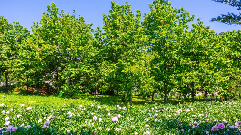 Villa il giardino segreto  pool&sauna Opatija