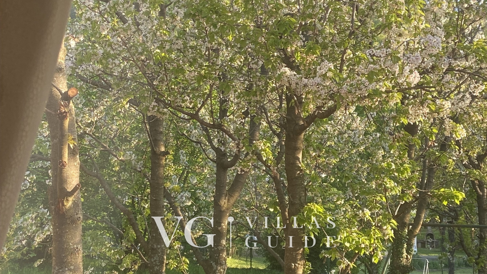 Villa il giardino segreto  pool&sauna Opatija Additional content