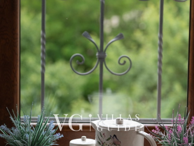 Villa Anita's place Kitchen