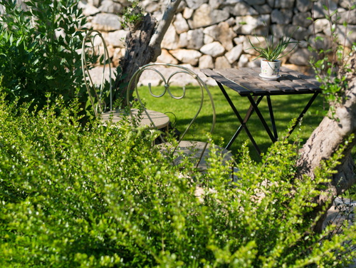 Cypress & Olive House