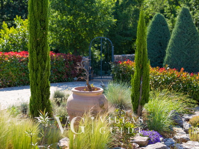 Cypress & Olive House Contenuto aggiuntivo