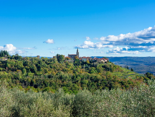 Apartment Groznjan I