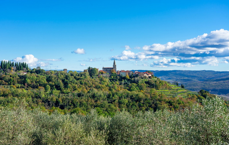 Apartment Groznjan I