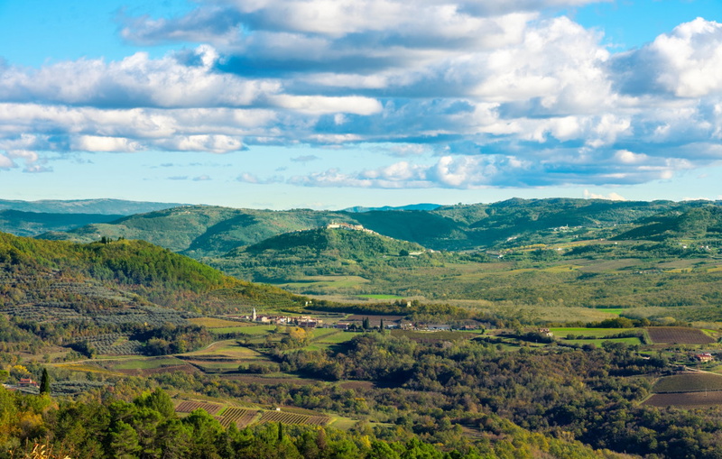 Apartment Groznjan II