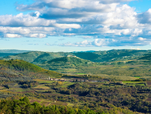 Apartment Groznjan III