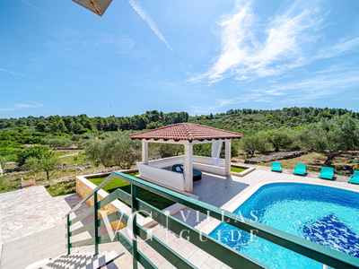 Villa Bradat Piscina