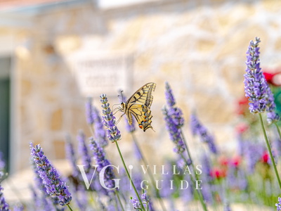 Villa Bradat Piscina