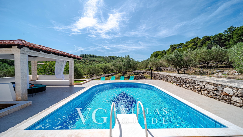 Villa Bradat Piscina