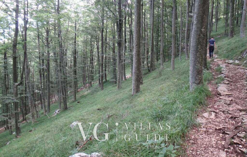 Ferienhaus Lisac Microlocation