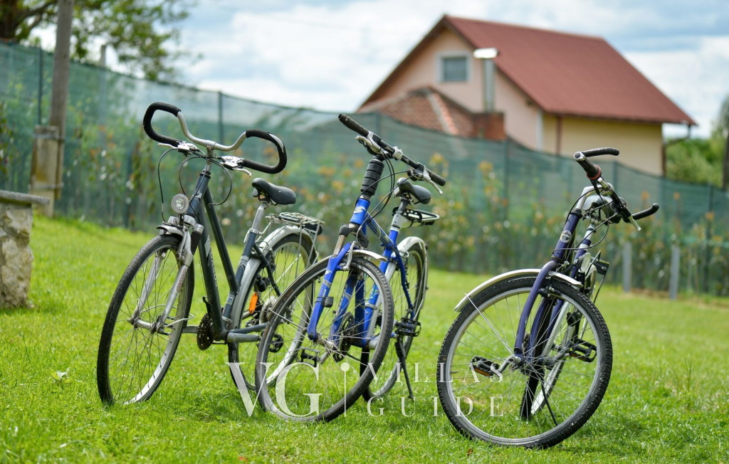 Villa Nina Additional content