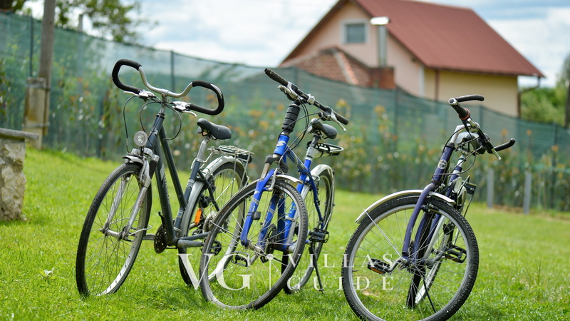 Villa Nina Additional content