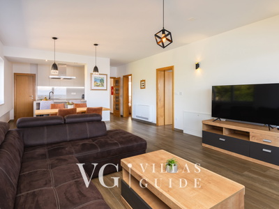 Villa Dida Božo Living room