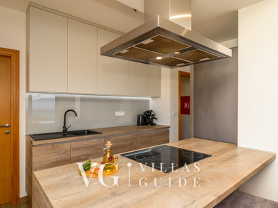 Villa Dida Božo Kitchen