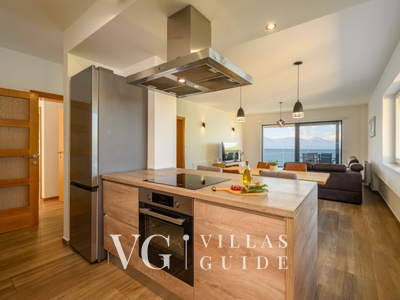 Villa Dida Božo Kitchen