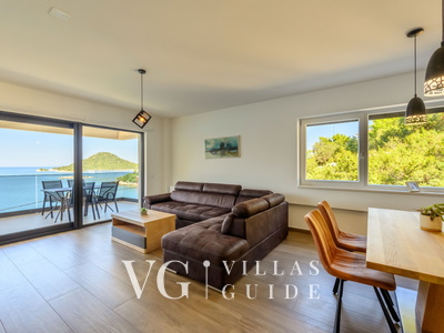 Villa Dida Božo Living room