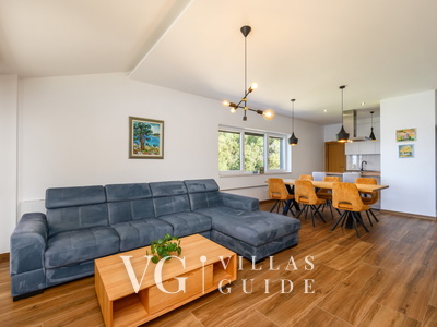 Villa Dida Božo Living room