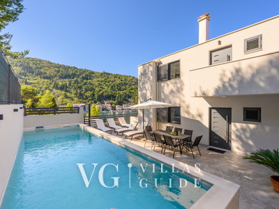 Villa Dida Božo Pool