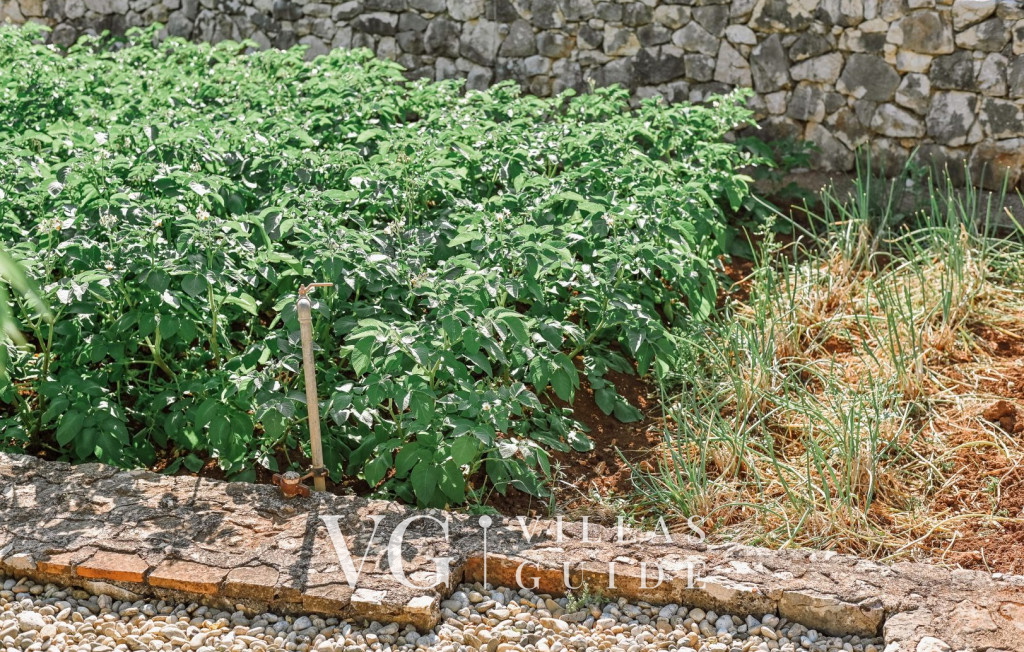 Villa Lu 2 Krk Contenuto aggiuntivo