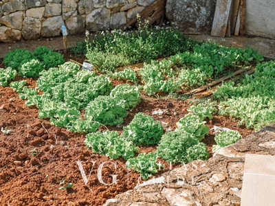 Villa Lu 2 Krk Additional content