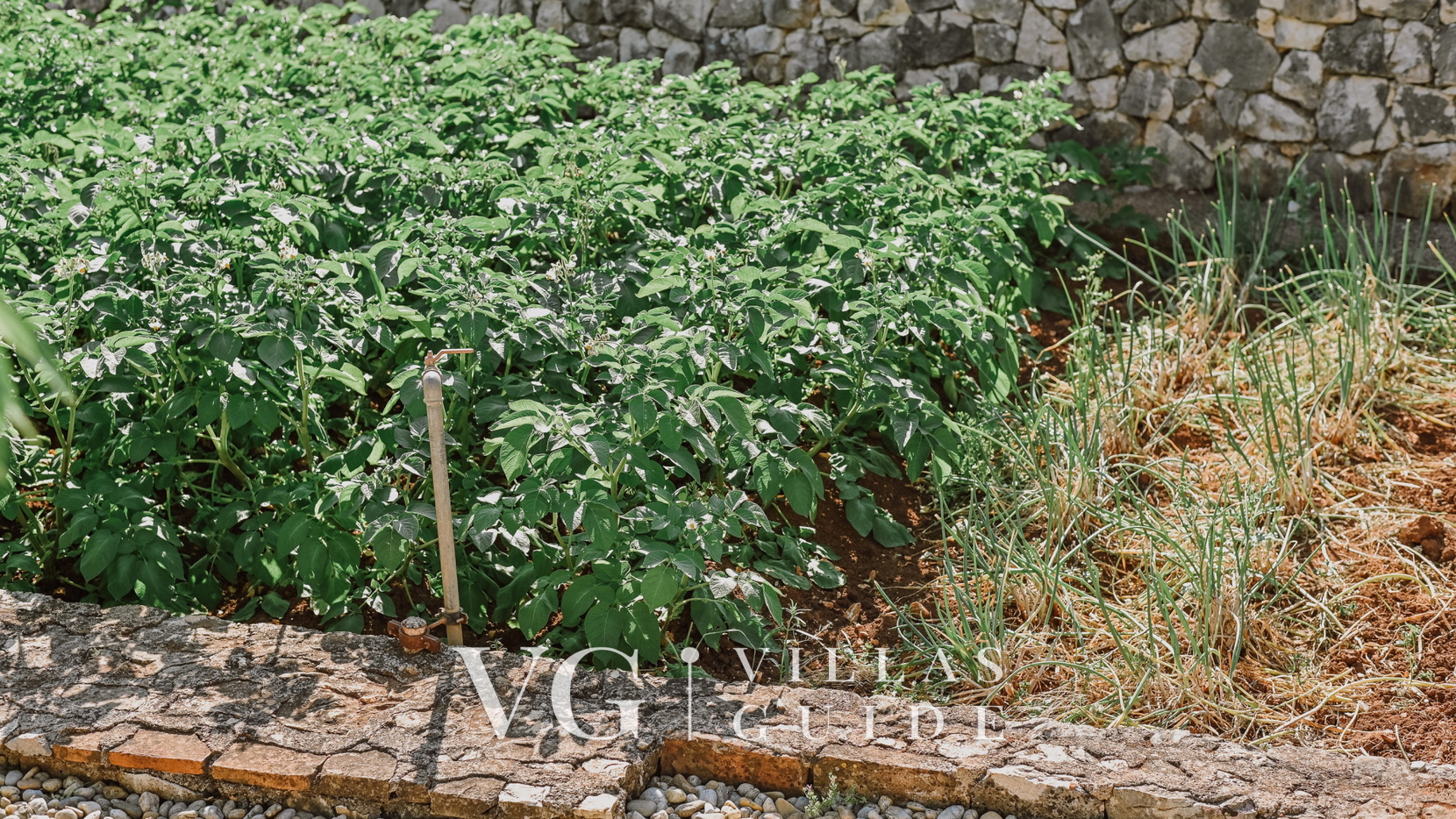 Villa Lu 2 Krk Dodatni sadržaji