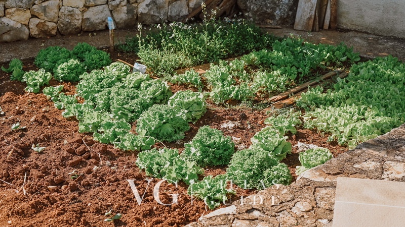 Villa Lu 2 Krk Dodatni sadržaji