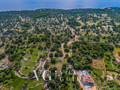 Villa Lun T - Island Pag