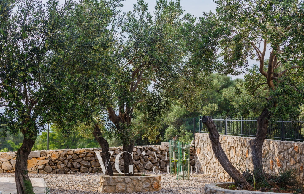 Villa Lun T - Island Pag Microposizione