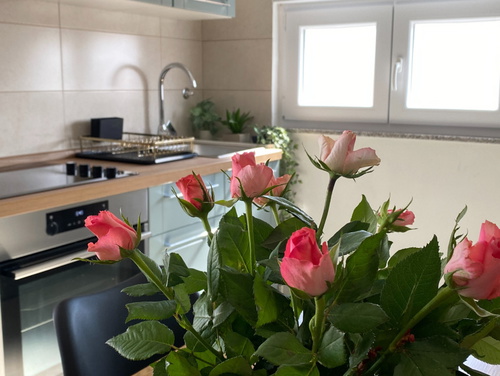 Apartment Jozephine 3