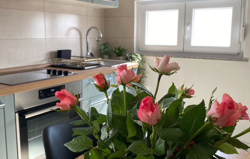 Apartment Jozephine 3