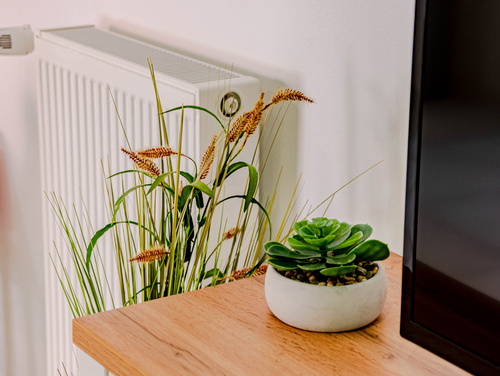 Apartman Jagoda - Vela Luka