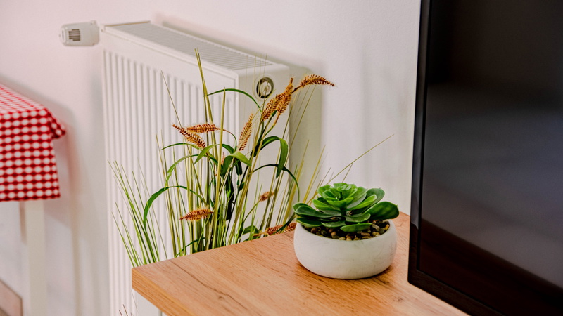 Apartman Jagoda - Vela Luka