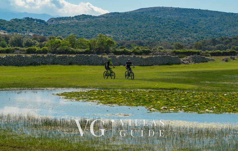 Villa Lara with pool&whirpool&pet friendly&100m from the sea- Rab micro_location