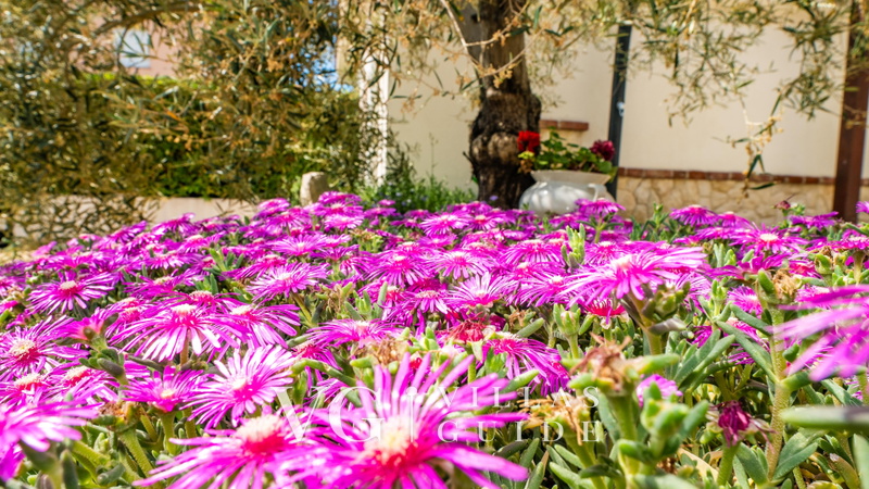 Villa Lara with pool&whirpool&pet friendly&100m from the sea- Rab Dodatni sadržaji