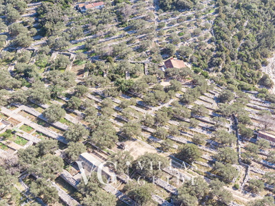 Holiday Home Sonja Garten und Außenbereich