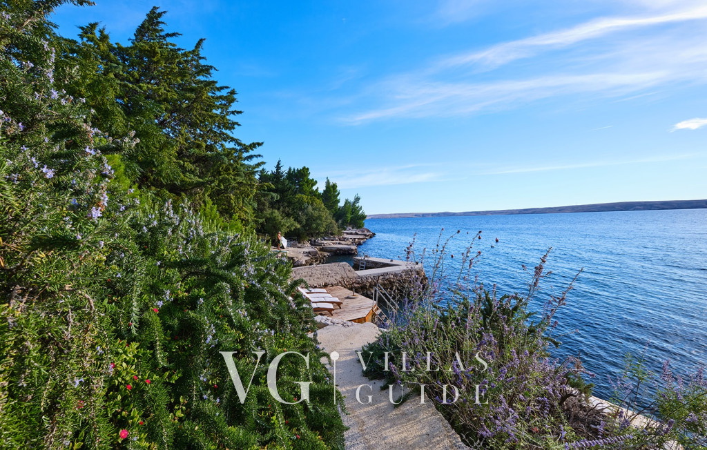 Villa Hemingway beachfront Garden and property exterior