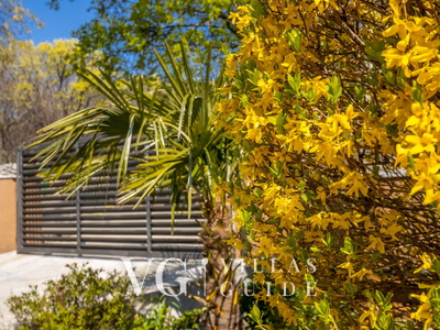 House Hideaway Novi Vinodolski Dvorište i vanjski dio objekta