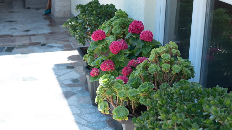 Cozy Studio Lucija with Terrace & Garden - Crikvenica