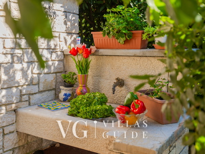 Villa Alma Giardino e esterni della proprietà