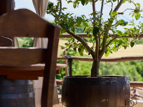 Holiday Home Blackrock Siscia