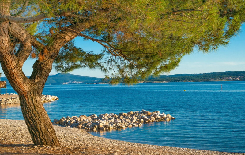 Cozy Getaway Lucija 1