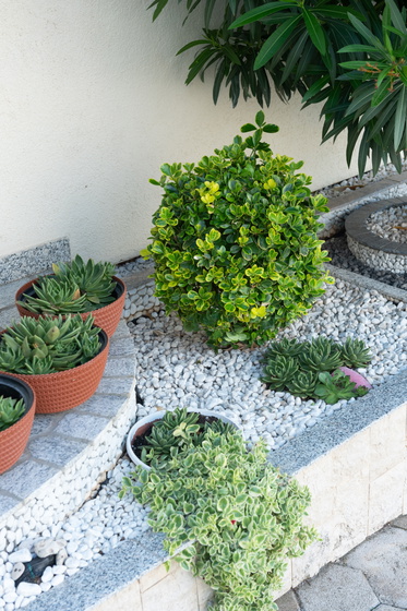 Cozy Getaway Lucija 1