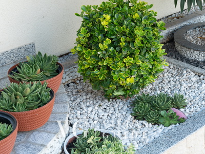 Cozy Getaway Lucija 1