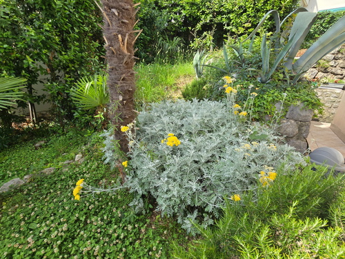 Villa Medea sea view